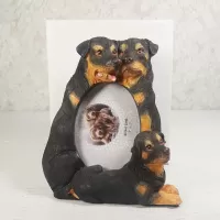 Rottweiler dogs and puppy polyresin figurine photo frame holds one 2x3 picture: With Box - Click to enlarge