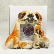 Saint Bernard dogs and puppy polyresin figurine photo frame holds one 2x3 picture: With Box